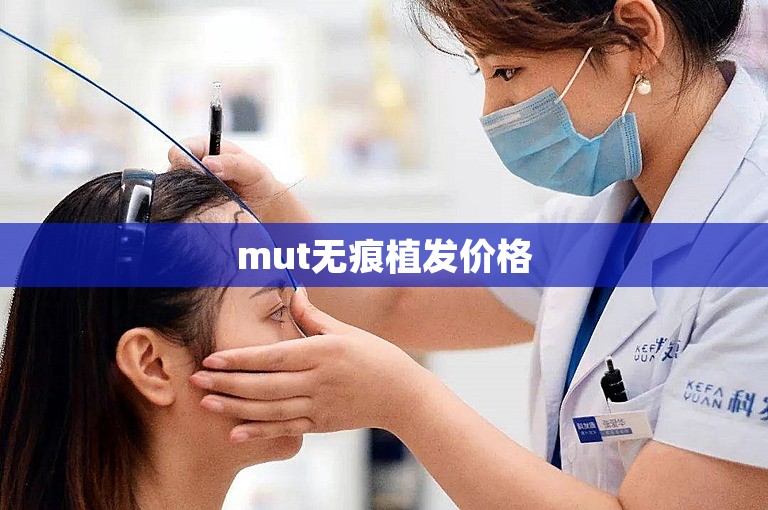 mut无痕植发价格