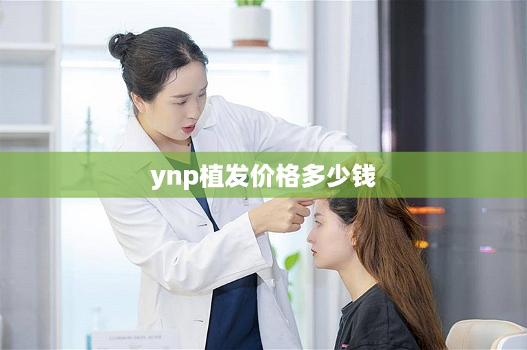 ynp植发价格多少钱