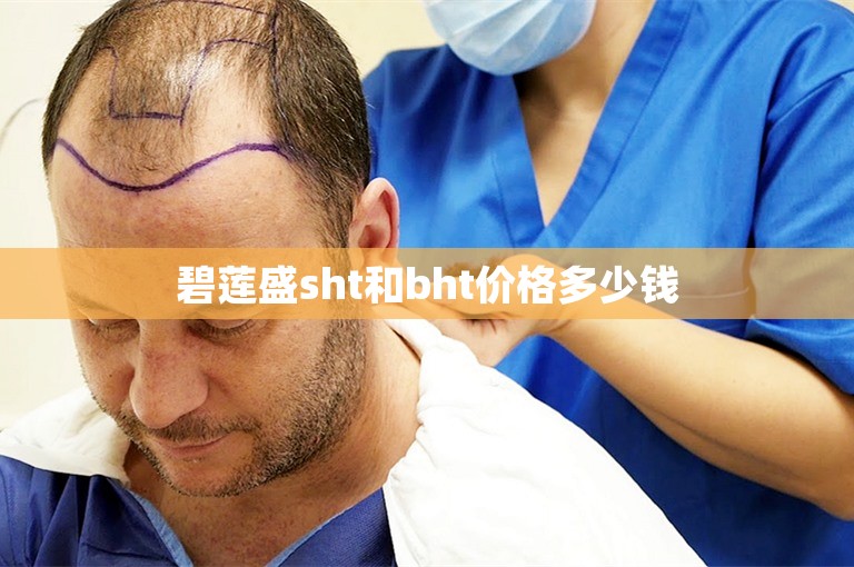 碧莲盛sht和bht价格多少钱