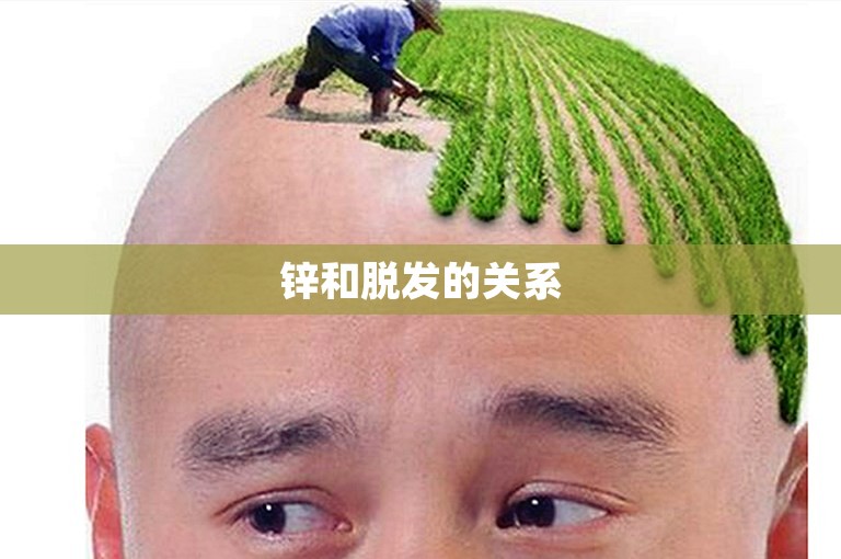 锌和脱发的关系