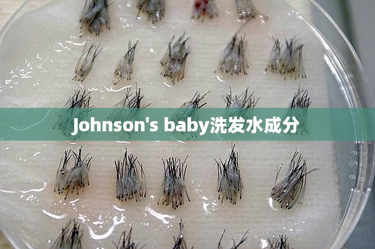 Johnson's baby洗发水成分