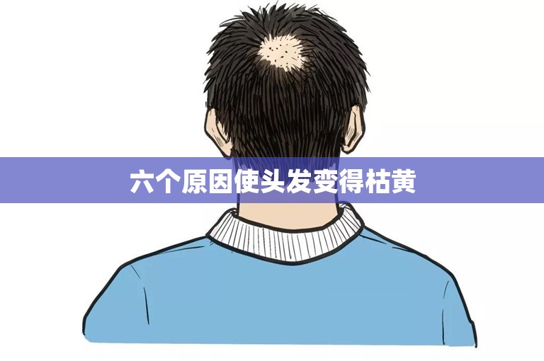 六个原因使头发变得枯黄