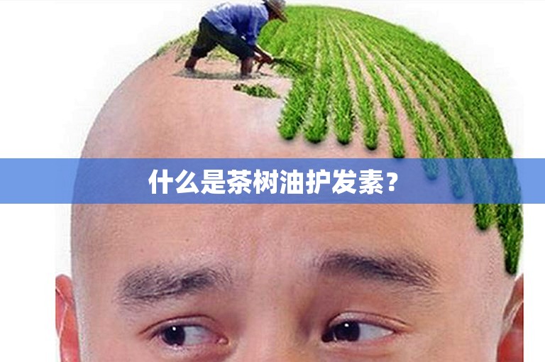 什么是茶树油护发素？