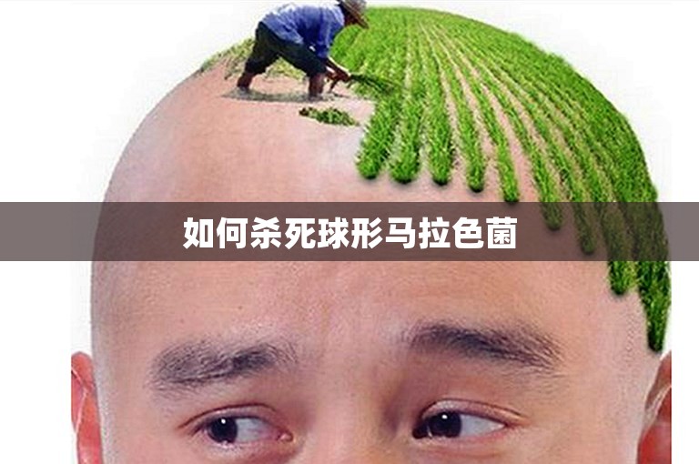 如何杀死球形马拉色菌