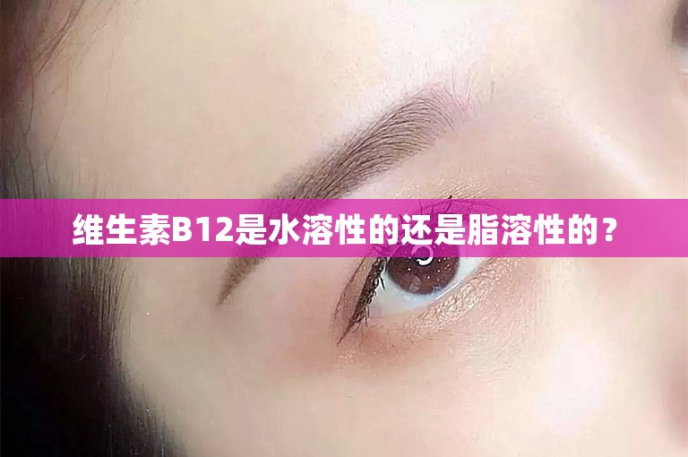 维生素B12是水溶性的还是脂溶性的？