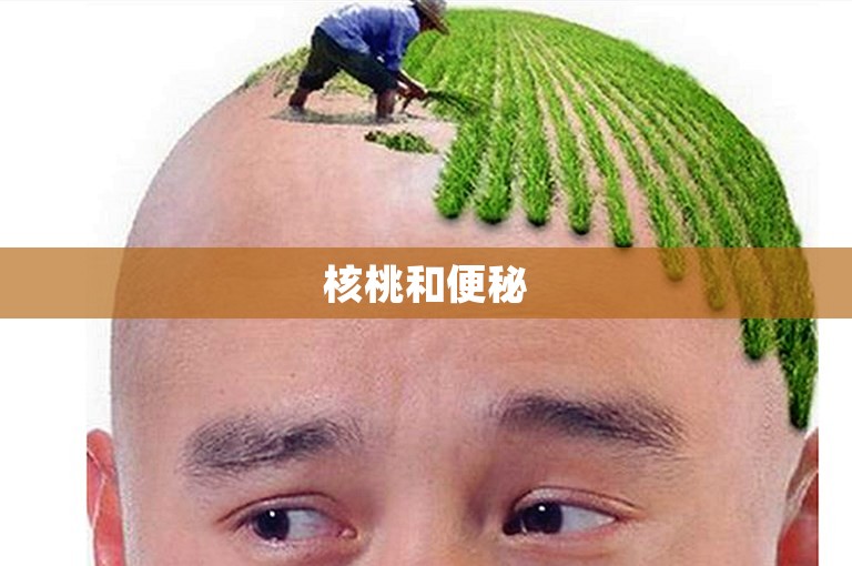 核桃和便秘