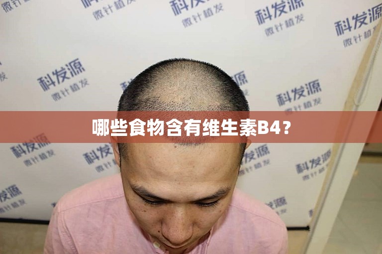 哪些食物含有维生素B4？