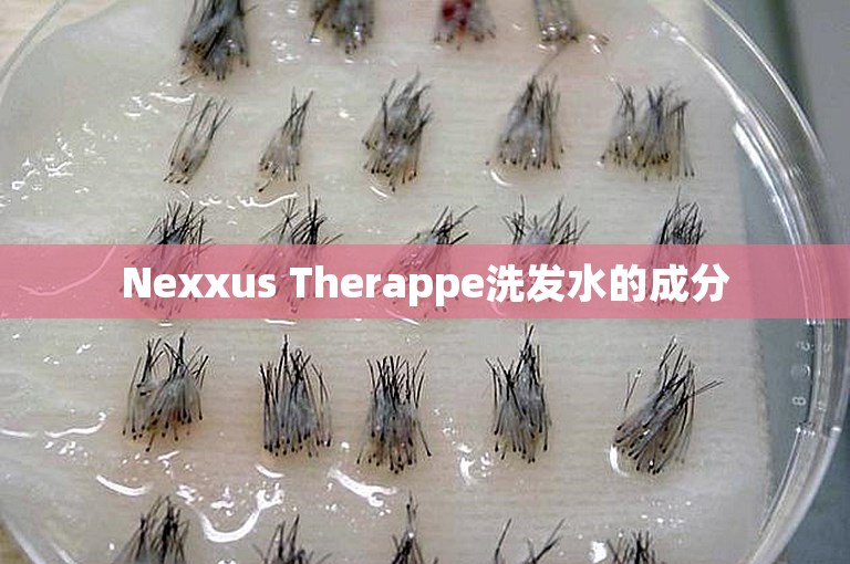 Nexxus Therappe洗发水的成分