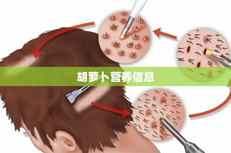 胡萝卜营养信息