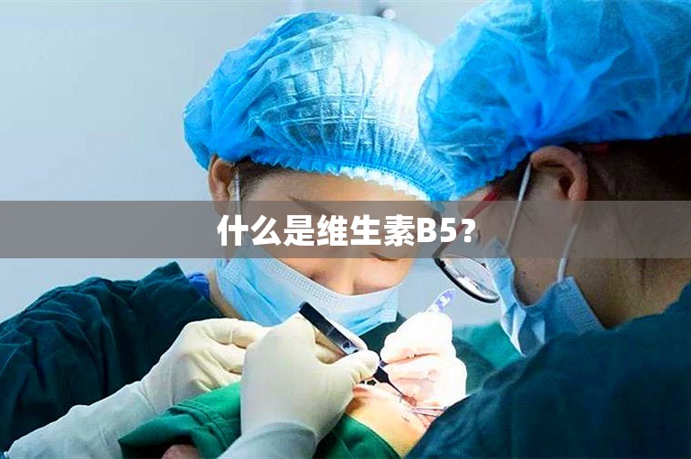 什么是维生素B5？