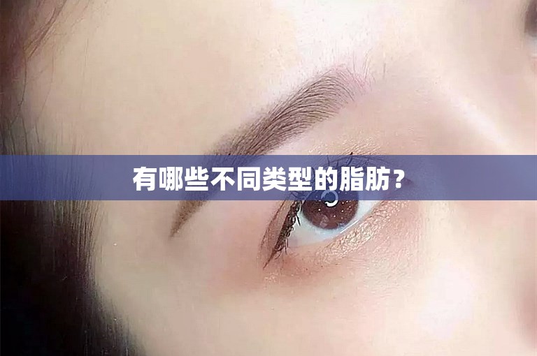 有哪些不同类型的脂肪？