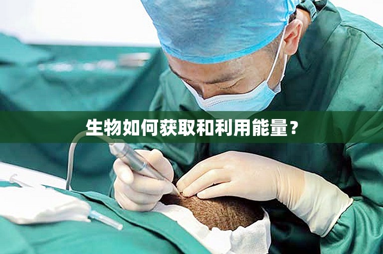 生物如何获取和利用能量？