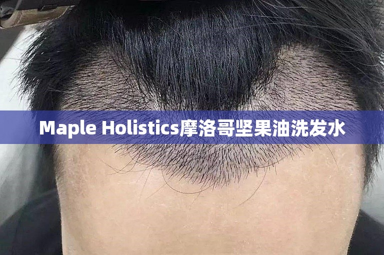 Maple Holistics摩洛哥坚果油洗发水