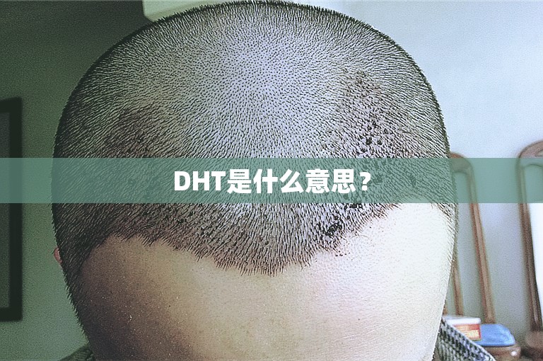 DHT是什么意思？