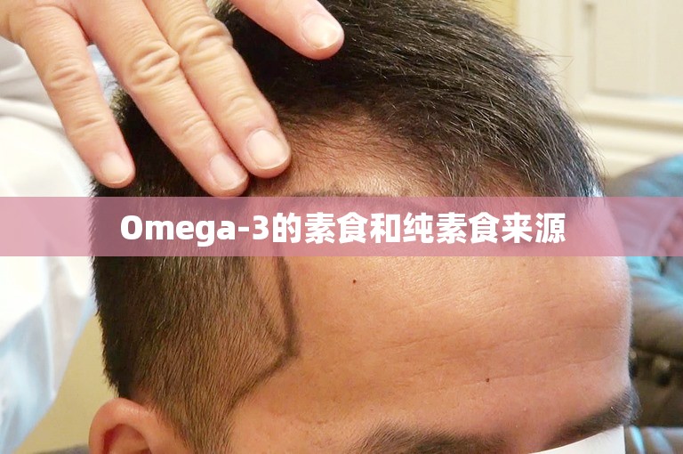 Omega-3的素食和纯素食来源