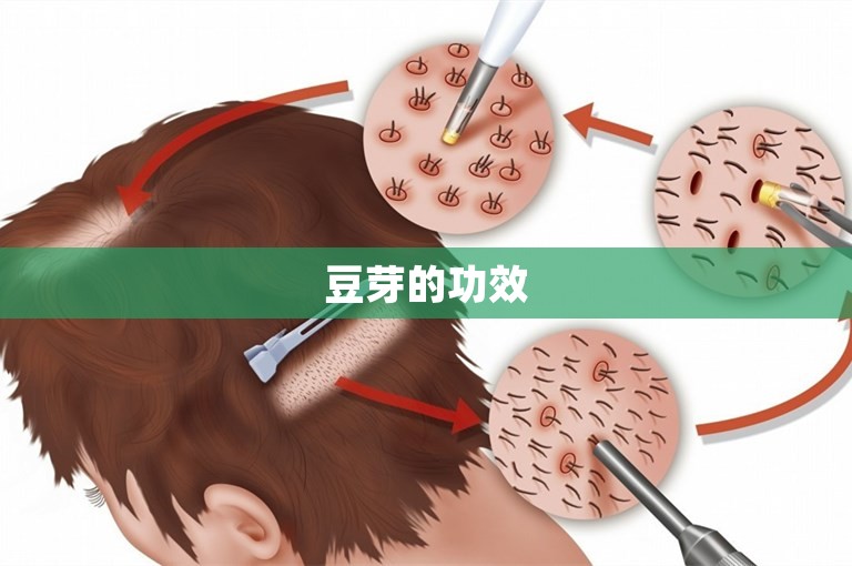 豆芽的功效