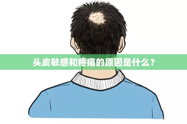 头皮敏感和疼痛的原因是什么？