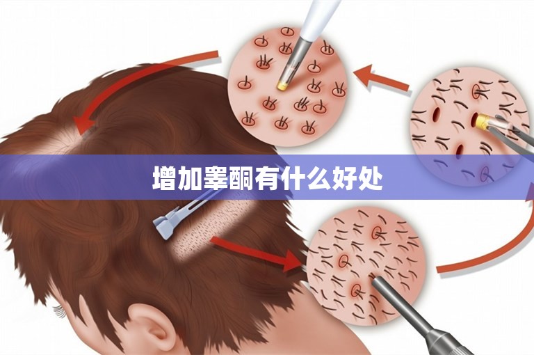 增加睾酮有什么好处