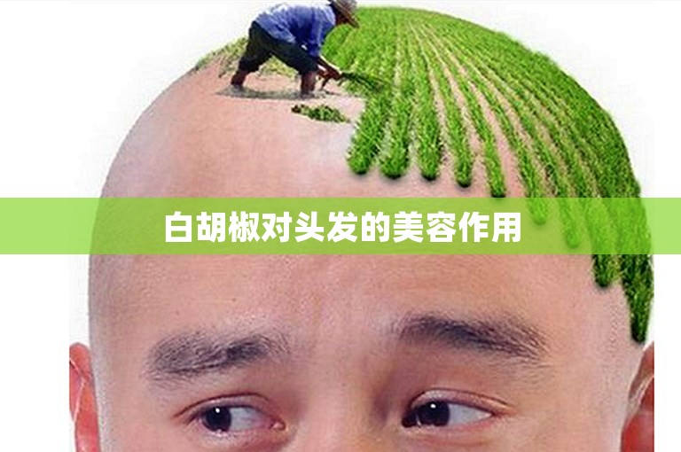 白胡椒对头发的美容作用