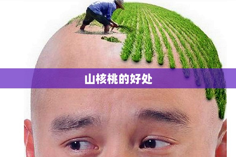 山核桃的好处