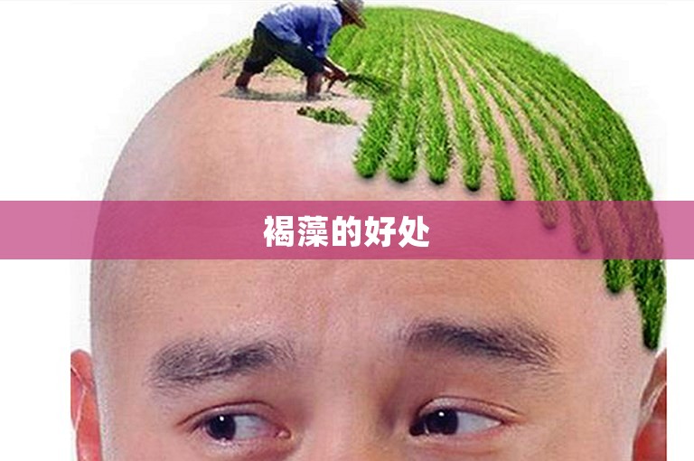 褐藻的好处