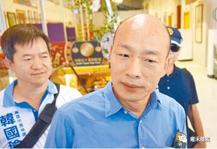 台湾医院要为网红秃顶市长韩国瑜免费植发