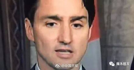 加拿大总理的假眉毛掉了，和美国总统会谈时…
