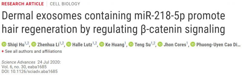 促进头发再生的miRNA疗法脱发治疗新希望！