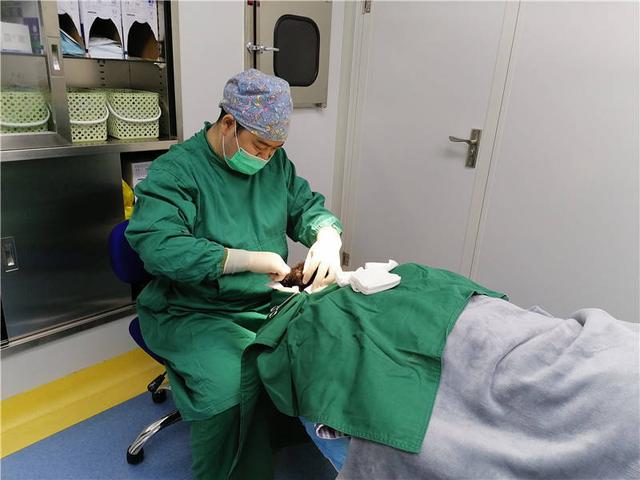 湖南龚金荣医生转战植发机构 自主研发毛囊培育系统