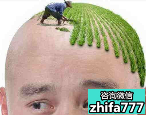 都有什么脱发类型适合植发呢？