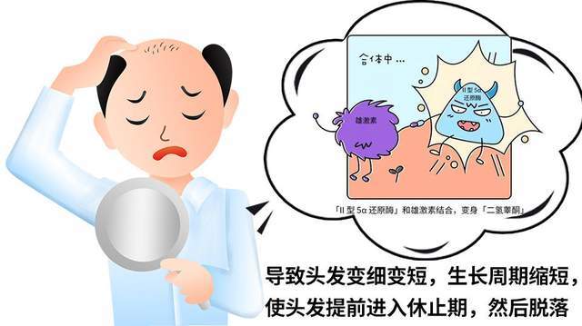 头发会秃都知道，那眉毛、腋毛会秃吗？