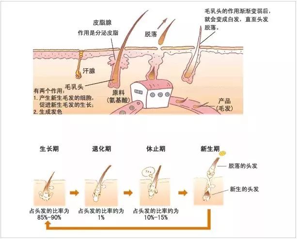 天气热爆了！阳光这么强会影响植发效果吗？