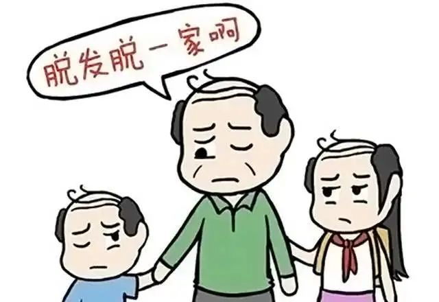 为什么脱发多在前额和头顶呢？