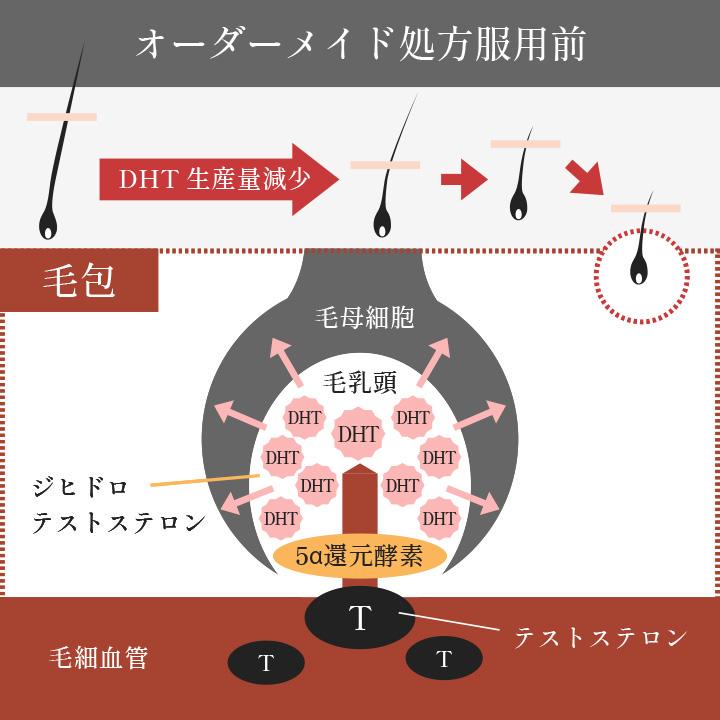 头发稀薄的原因是？