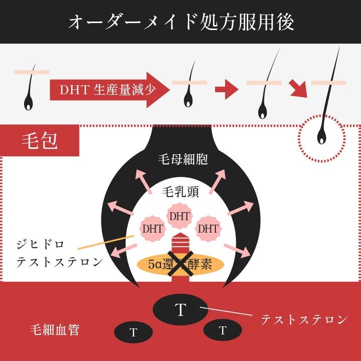 头发稀薄的原因是？