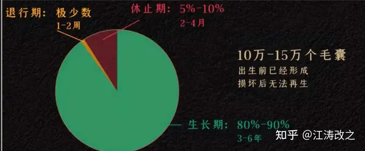 秃头了吗？秃头了没？关于脱发的探究：群体年轻化与成因分析