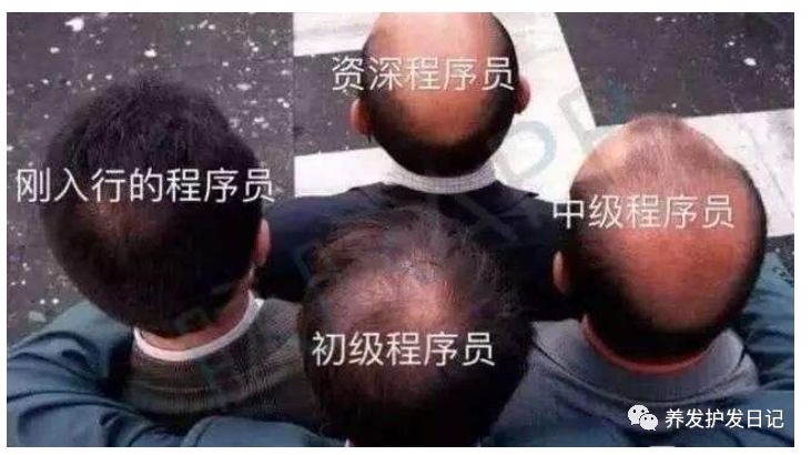 我是码农，请问我该如何应对脱发的烦恼？