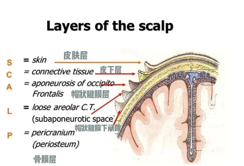 如何才能让植发风险忽略不计？