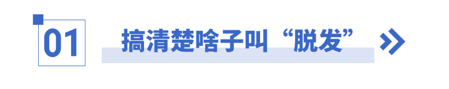 斑秃、全秃、普秃？专家说，管你啥子秃，搞快来看医生